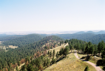 [A single image view from the fire tower looking down on the dirt road.]